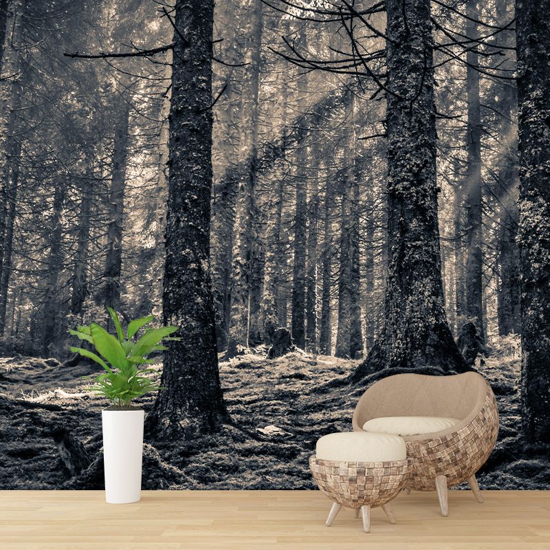 Natural Landscape Wall Mural Decorative Dining Room Wall Art for Decoration