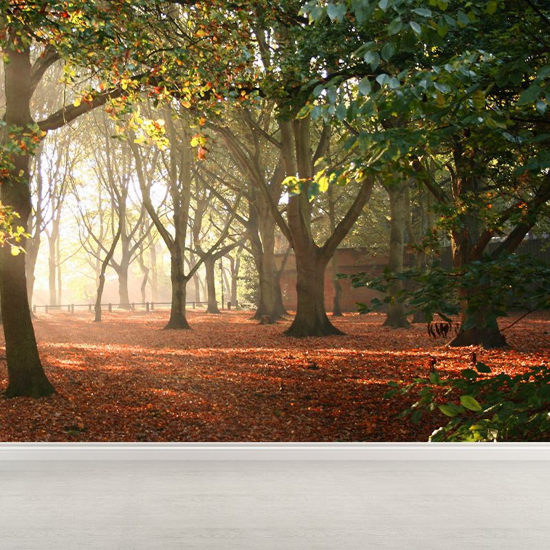 Photographic Misty Forest Wall Mural Big Wall Decor for House Interior, Custom Size