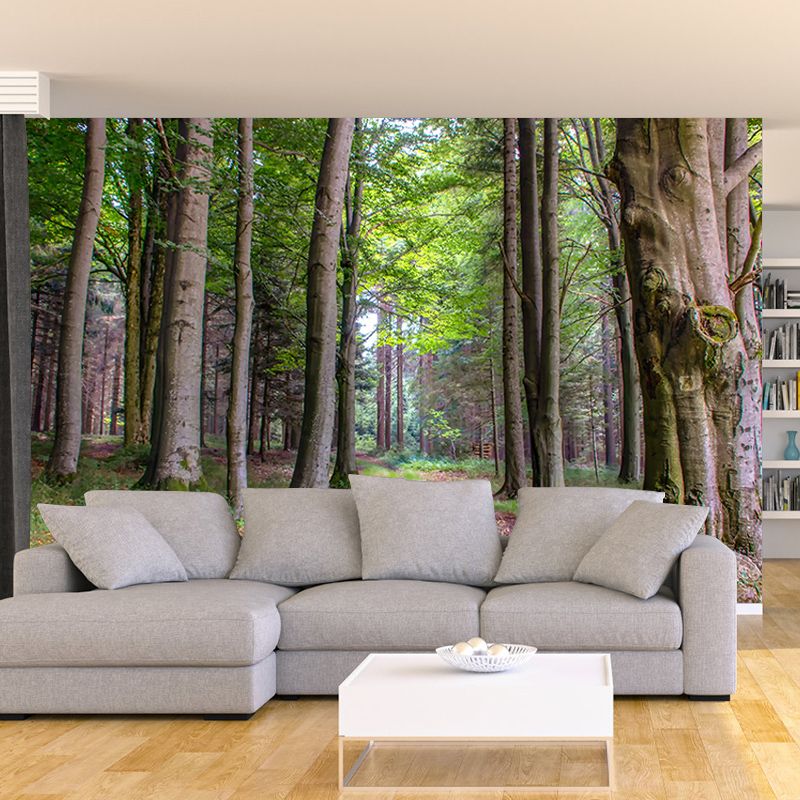 Forest Mural Wallpaper for Sitting Room Moisture Resistant, Personalized Size Available