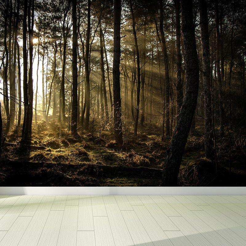 Deep Forest Wallpaper Murals Modern Waterproof Living Room Wall Covering