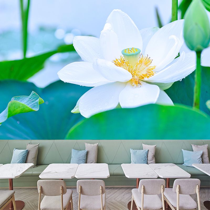 Customized Lotus Mural Wallpaper Waterproofing Wall Decor for Meeting Room