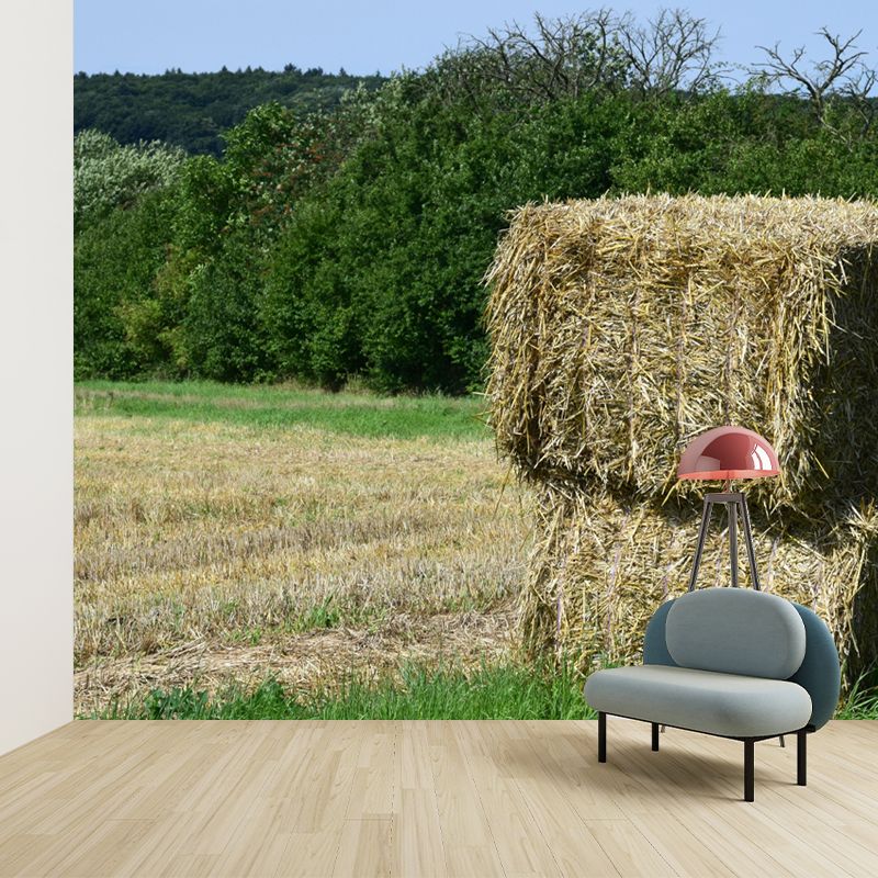 Photography Straw Bale Mural Wall Decor Mildew Resistant for Bedroom