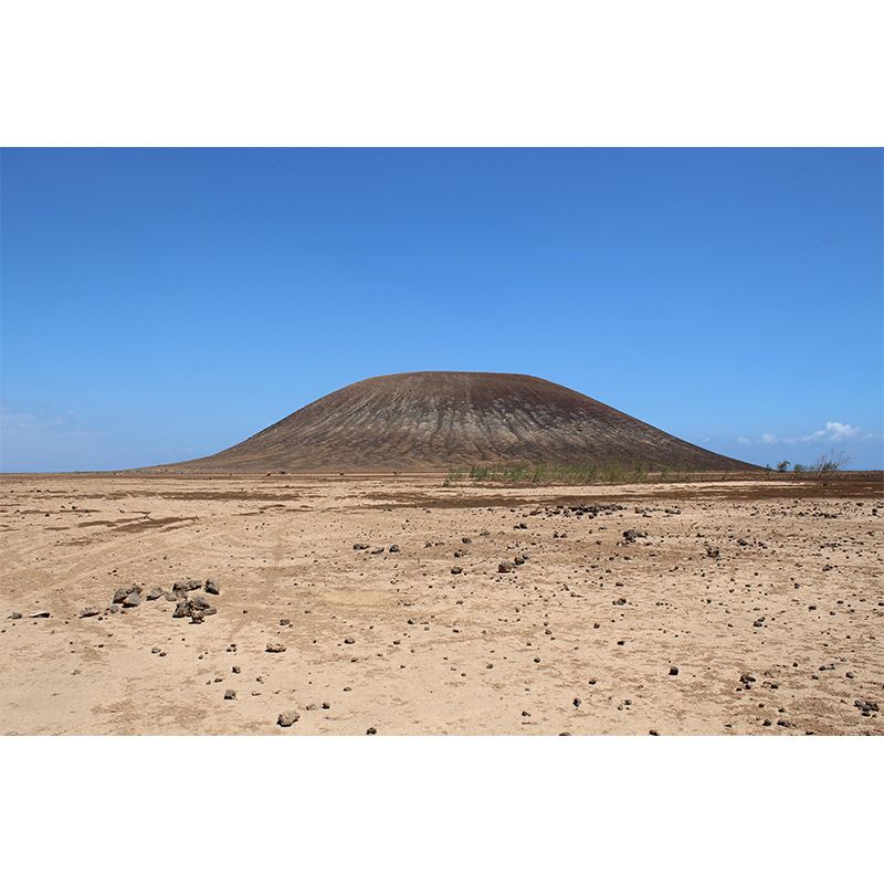 Contemporary Photography Style Desert Mural Wallpaper Mildew Resistant for Home