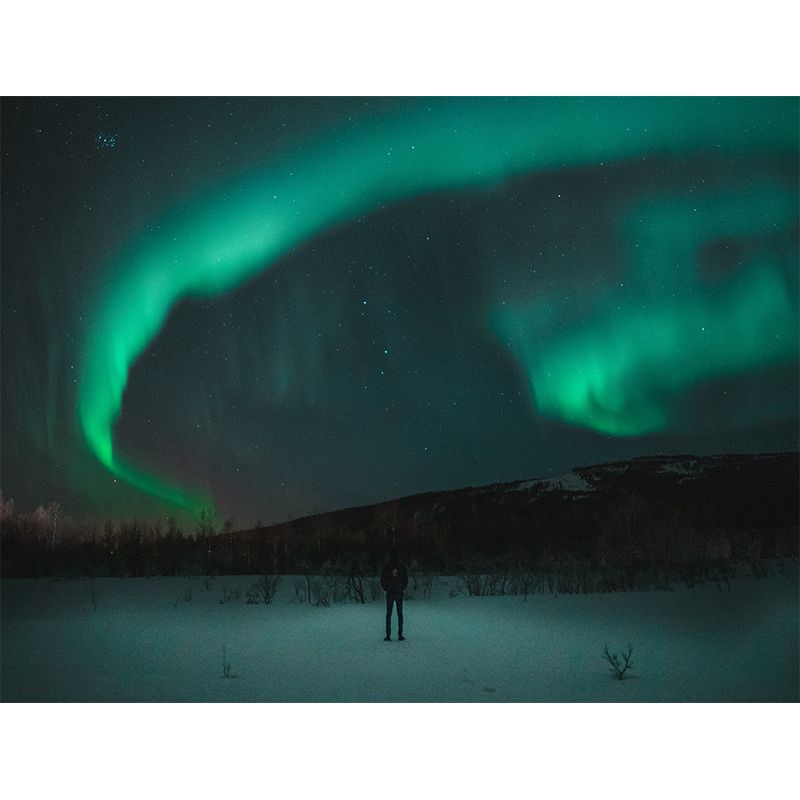 Starry Sky Modern Photography Mural Wallpaper Indoor Wall Mural