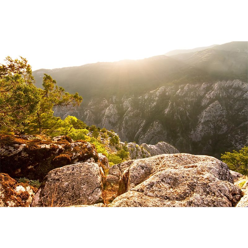 Brown Mountain Sunrise Scene Mural Waterproof Modern Style Living Room Wall Decor