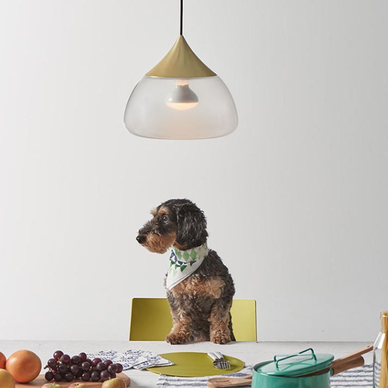 Stout Pendant Lighting Modern Glass 1 Light Chrome/Gold/Rose Gold Hanging Pendant Light