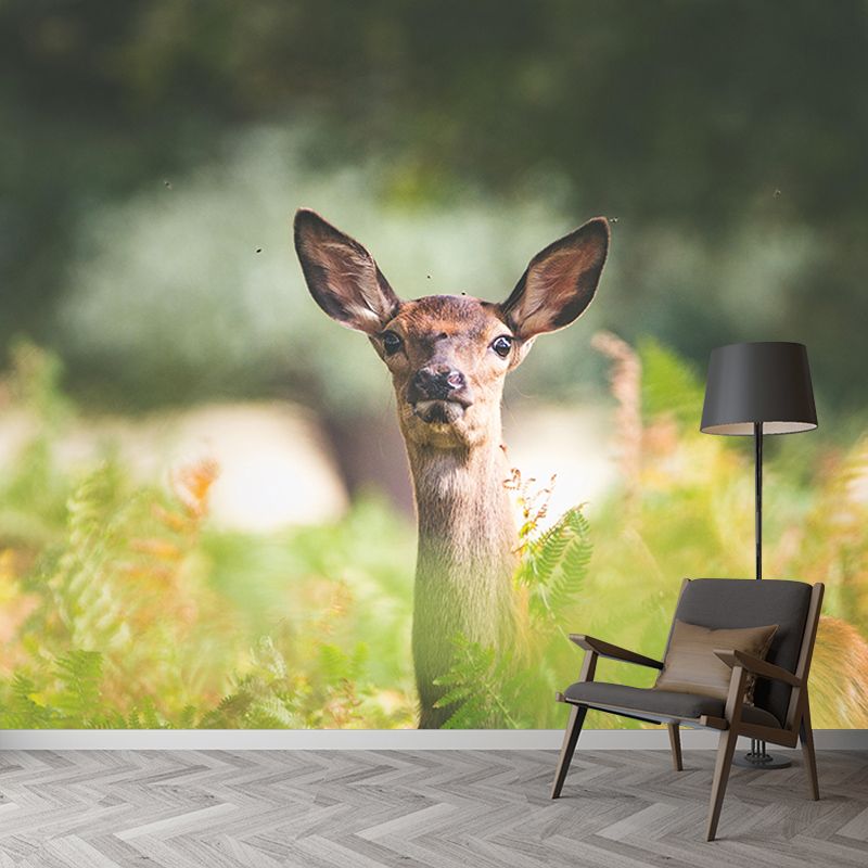 Natural Scene Wall Decor Wild Animal Mural Horizontal Photography Sleeping Room Wall Mural