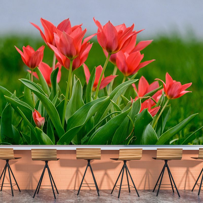 Tulips Wallpaper Mural Decal Customized Modern Wall Covering for Bedroom