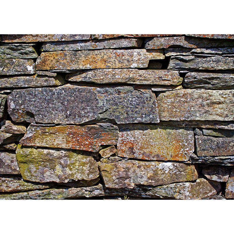 Stain Resistant Industrial Stone Wall Mural Wallpaper Decorative Wall Covering