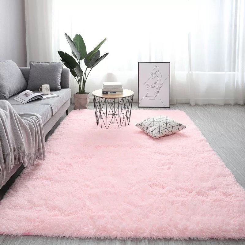 Novelty Plain Shag Carpet Polyester Indoor Rug Non-Slip Backing Area Carpet for Living Room