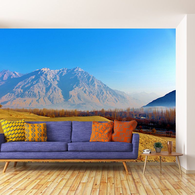 Desert Mural Contemporary Photography Style Wallpaper Mildew Resistant for Decoration