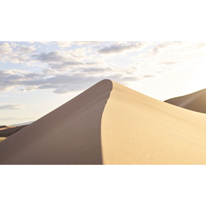 Simple Desert Mural Wallpaper Modernism Wall Art for Home, Made to Measure