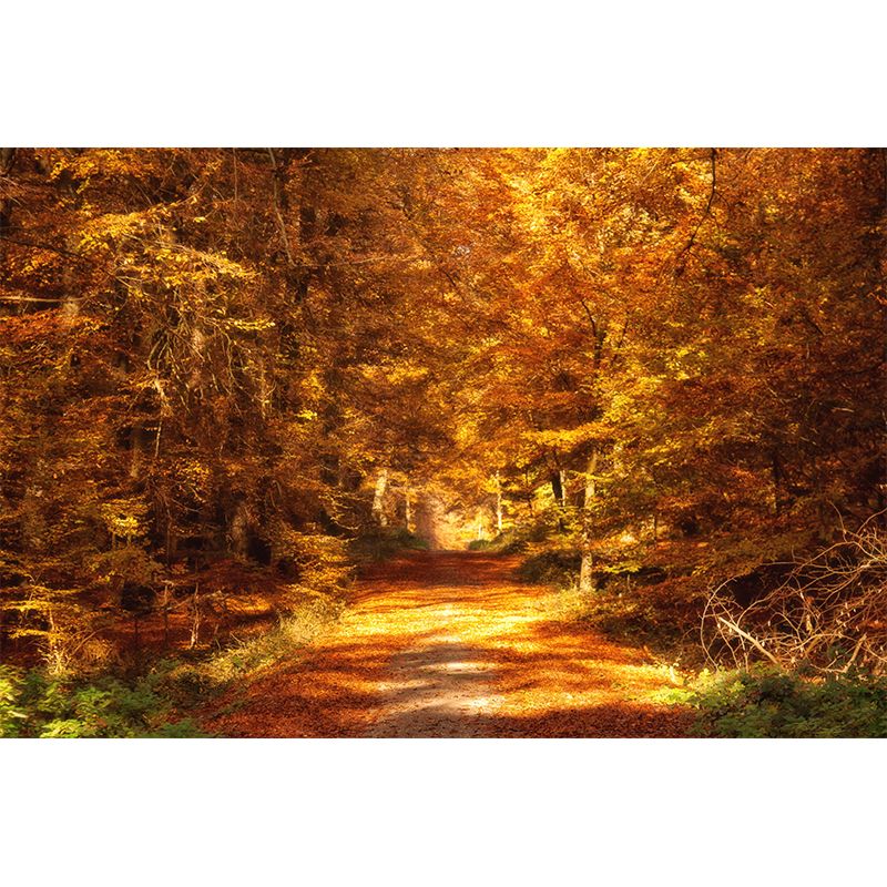 Moisture Resistant Forest Mural Wall Covering for Dining Room Wall Decor