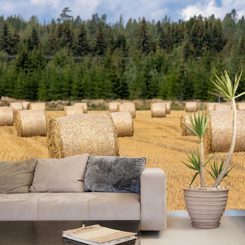 Horizontal Photography Straw Bales Mural Moisture Resistant for Sitting Room