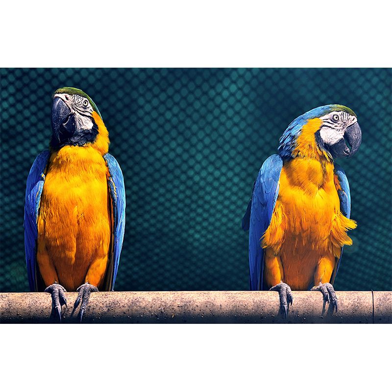 Zebra Wild Animal Contemporary Wall Mural Mildew Resistant Wallpaper for Living Room