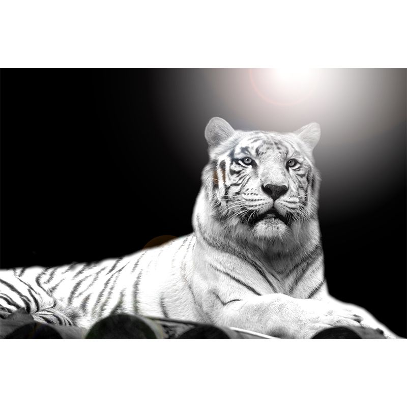 Peaceable Tiger Mural Wallpaper Black Contemporary Wall Covering for Living Room