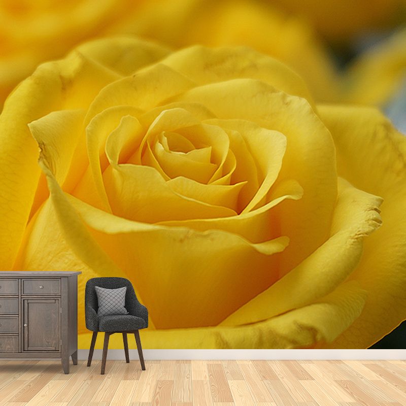 Photography Stain Resistant Mural Wallpaper Roses Indoor Wall Mural