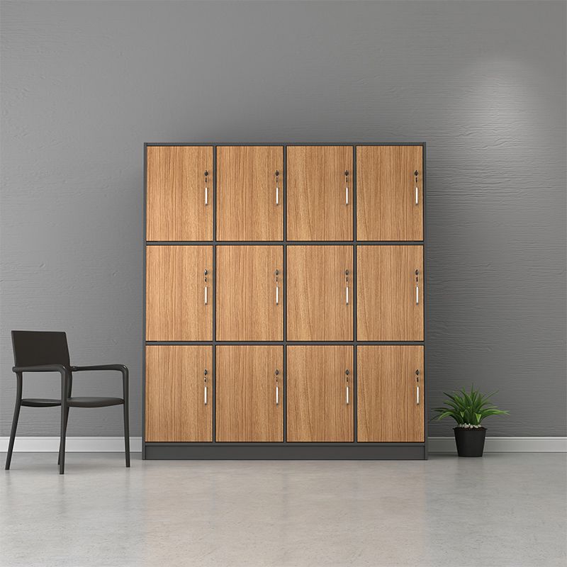Contemporary Brown Storage Cabinet Manufactured Wood Hinged Door Cabinet