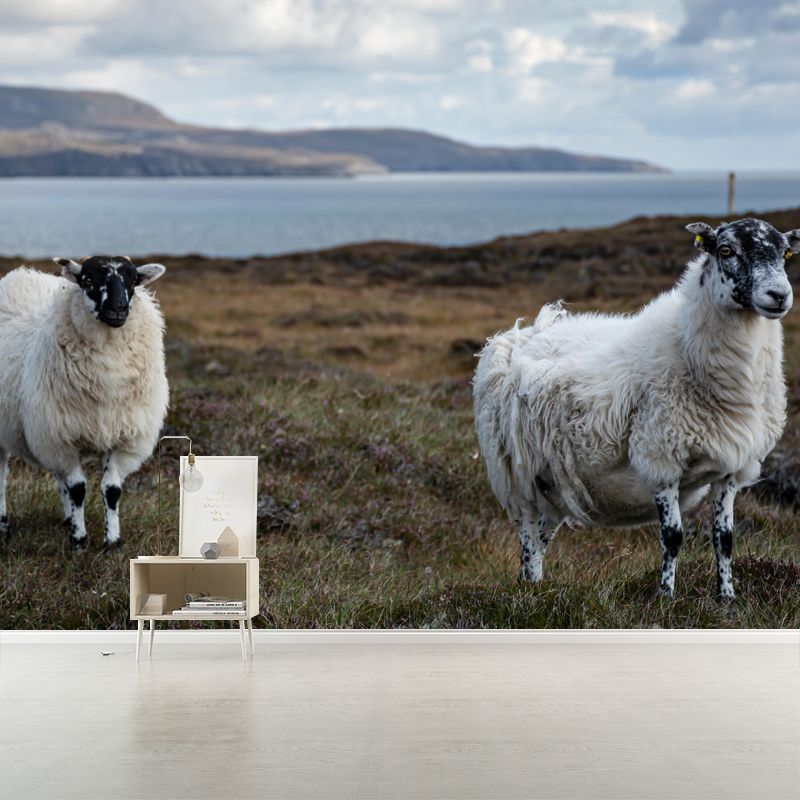 Sheep Animal Wallpaper Mural Contemporary Style Wall Art for Living Room