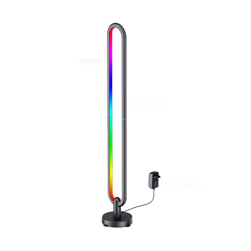 Oval Shaped Bluetooth Floor Light Modern Metal Bedroom RGB Standing Light