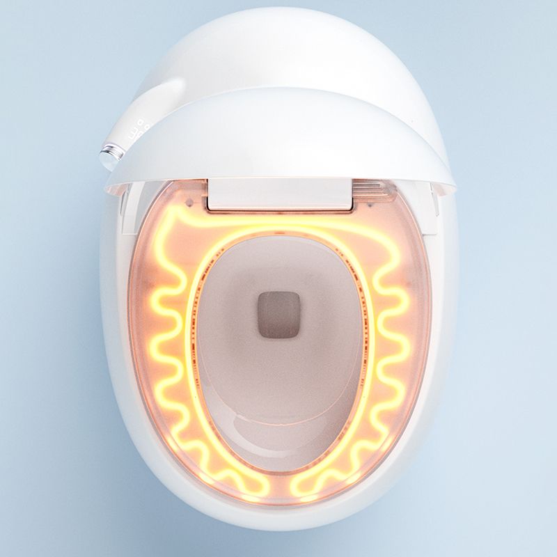 White Round Smart Toilet Stain Resistant Deodorizing Floor Mount Bidet