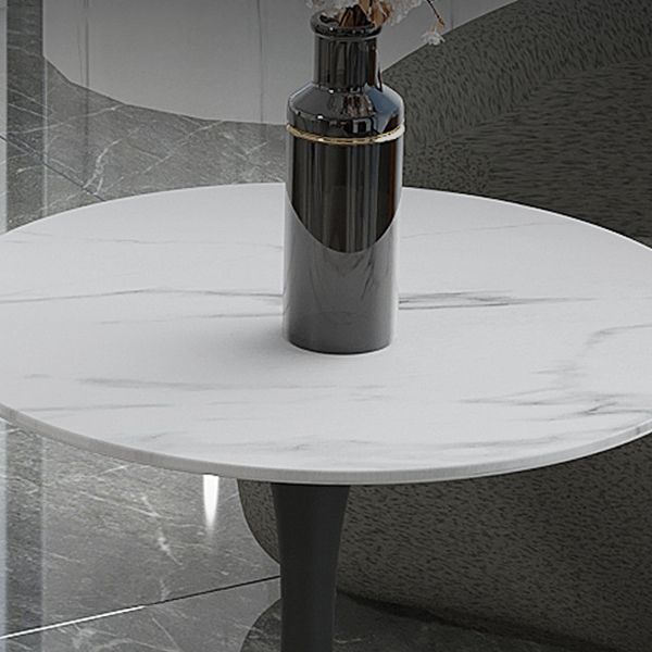 Metal Traditional Luxury Round Table White Sintered Stone Indoor Table for Home