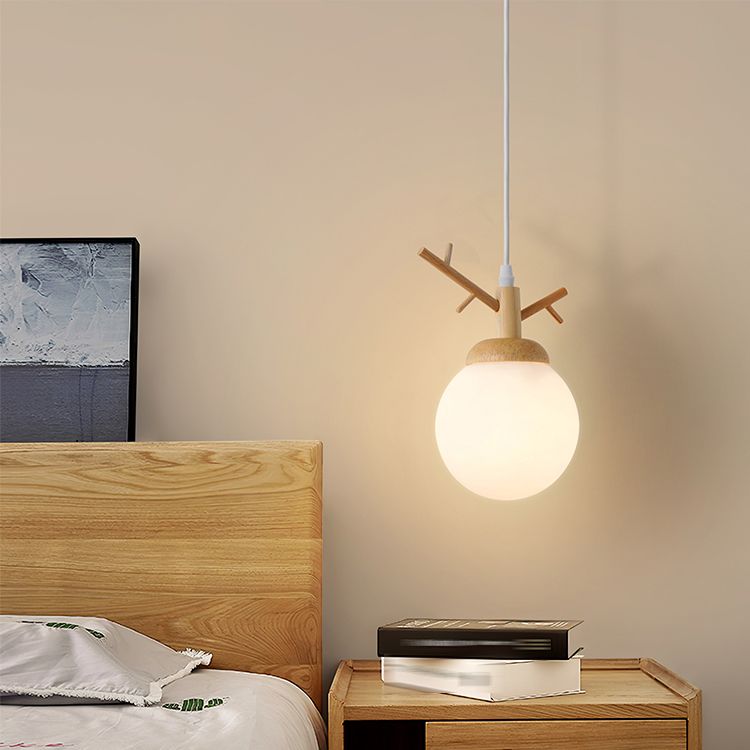 Globe Glass Hanging Lamp in moderne eenvoud houten hanglamp voor eetkamer