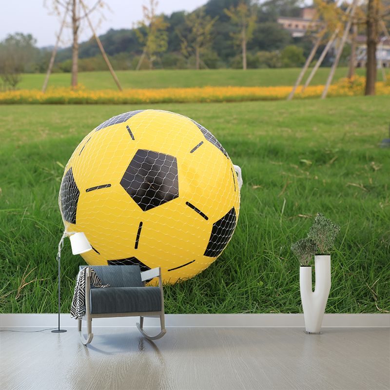 Football Wall Murals Contemporary Photography Style Wall Art for Bedroom