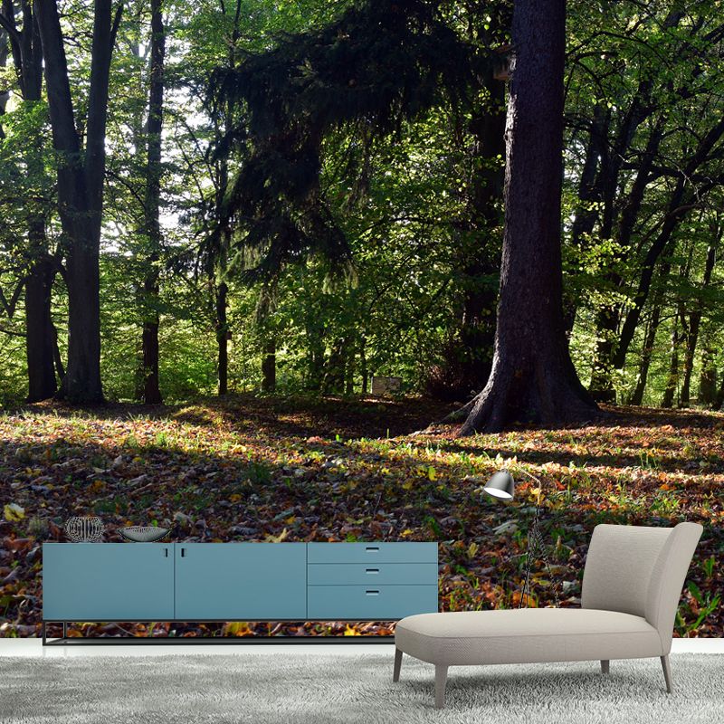 Forest Landscape Wall Murals Moisture Resistant Wall Covering for Gust Room