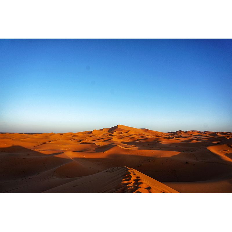 Fancy Wall Mural Mildew Resistant Wall Huge Desert Wallpaper Sleeping Room Wall Mural