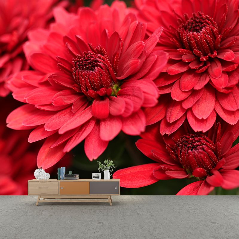 Gerbera Flower Mural Wallpaper Wall Covering Mildew Resistant for Sleeping Room