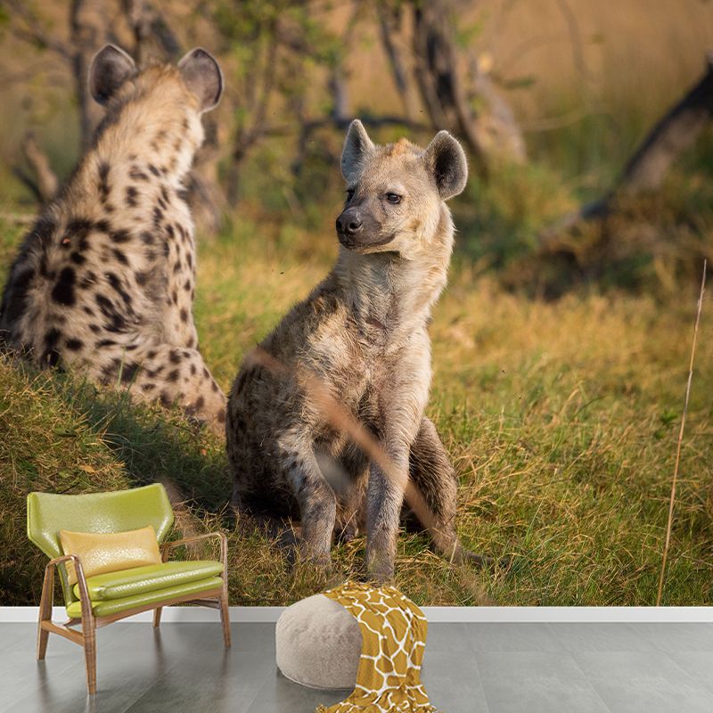 Hyena Mural Wallpaper Living Room Decoration, Personalized Size Available