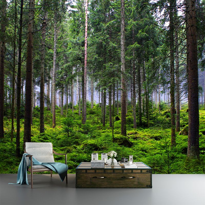 Green Forest Scenery Wallpaper Mural for Sitting Room, Made to Measure