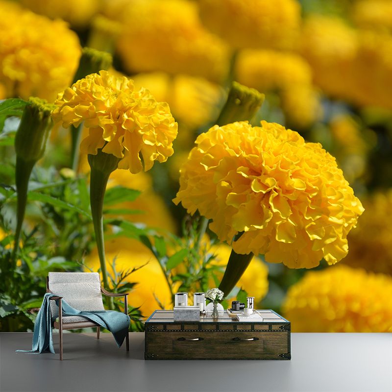 Modern Marigold Mural Wallpaper Stain Resistant Wall Covering for Living Room