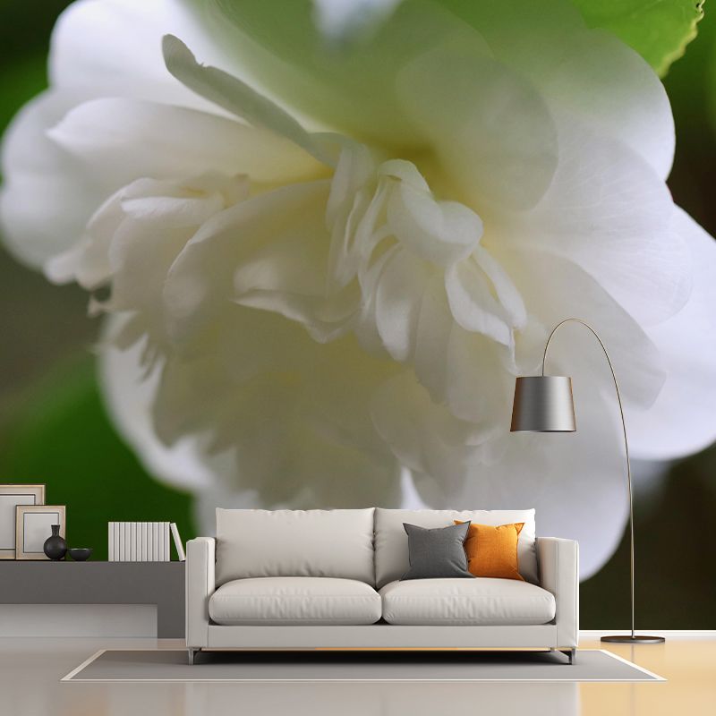 Customized Blooming Camellia Mural Wallpaper Contemporary for Guest Room