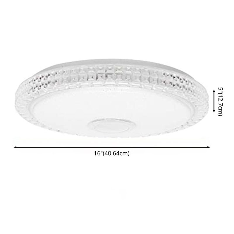 Flush Mount RGB Ceiling Light Bluetooth Music Ceiling Lamp Bathroom Bedroom Foyer LED Light