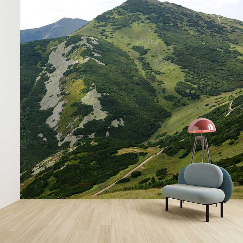 Modern Mountains Mural Contemporary Home Decor for Sitting Room, Water Resistant