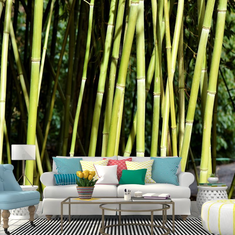 Bamboo Plant Mural Wallpaper for Sleeping Room Waterproofing, Made to Measure