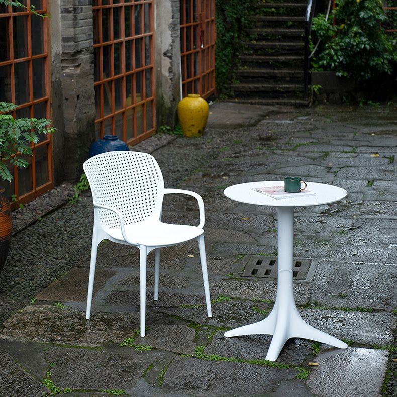 Glam Style Plastic Dining Arm Chair Matte Finish Dining Chair for Dinning Room