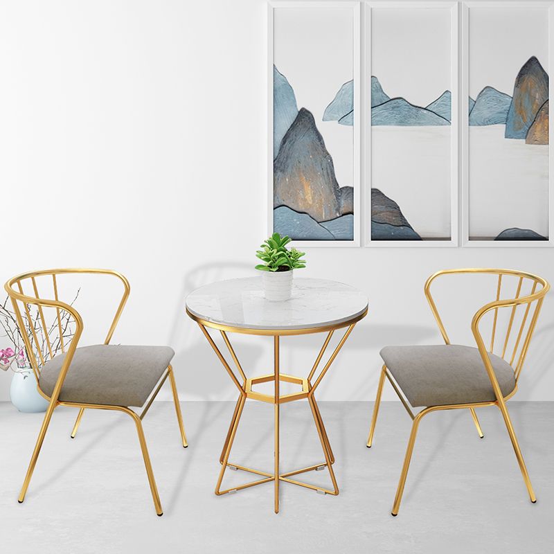 Contemporary Style Metal Dining Chairs Dining Armless Side Chairs for Kitchen