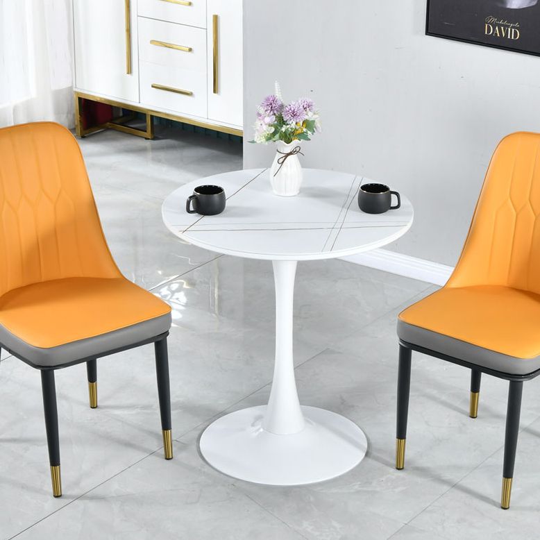 Round Shape Dining Table Simplicity Style Tulip Base Table for Dining Room
