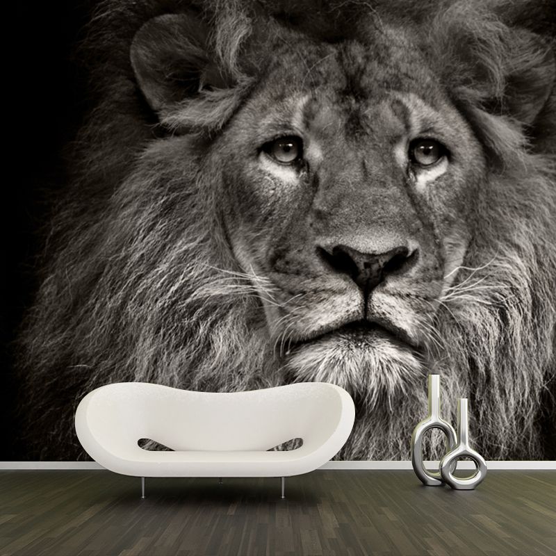 Photo Printed Lion Head Mural Wallpaper for Accent Wall, Black, Personalized Size