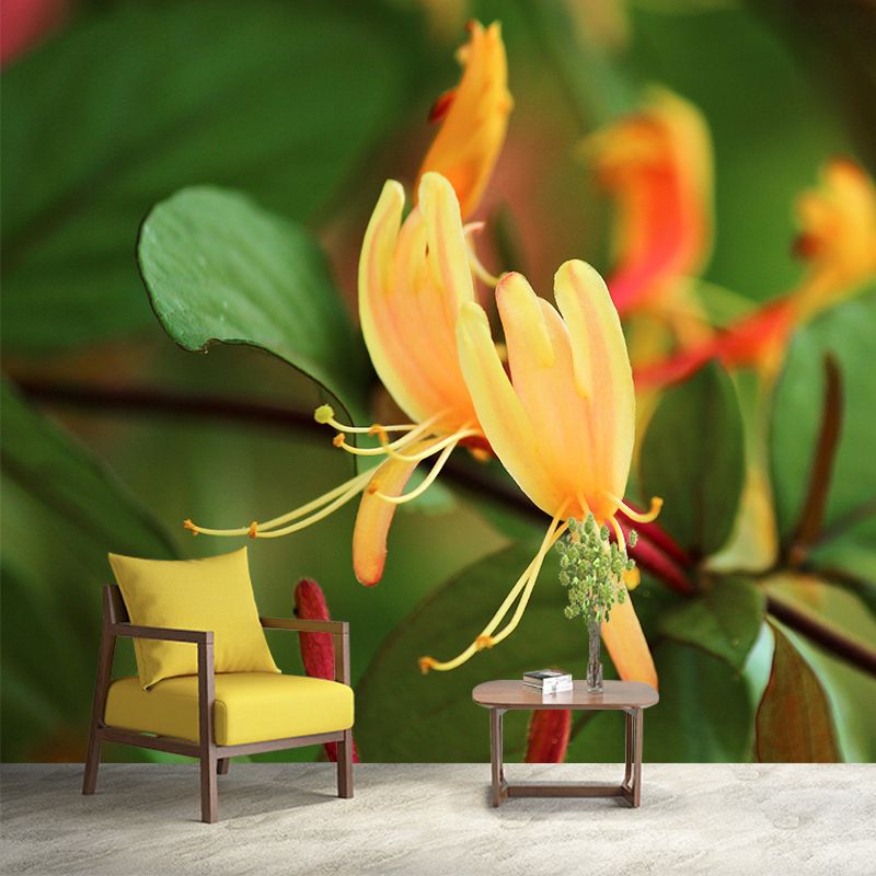 Minimalism Style Honeysuckle Wall Mural Decorative Photography for Living Room