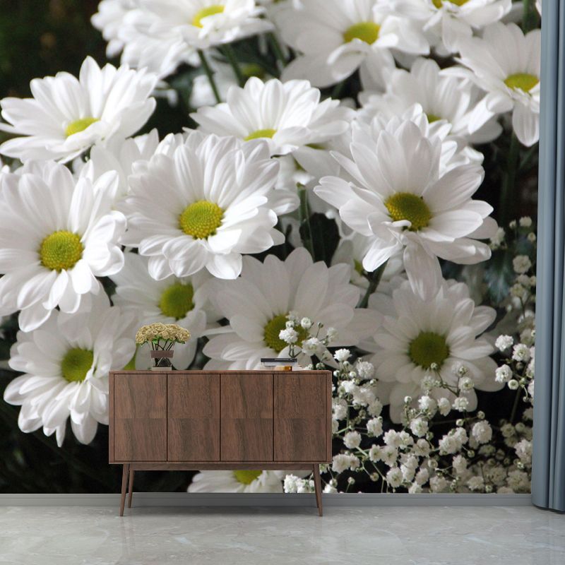 Horizontal Photography Daisy Wall Mural for Living Room Girls Women Bedroom