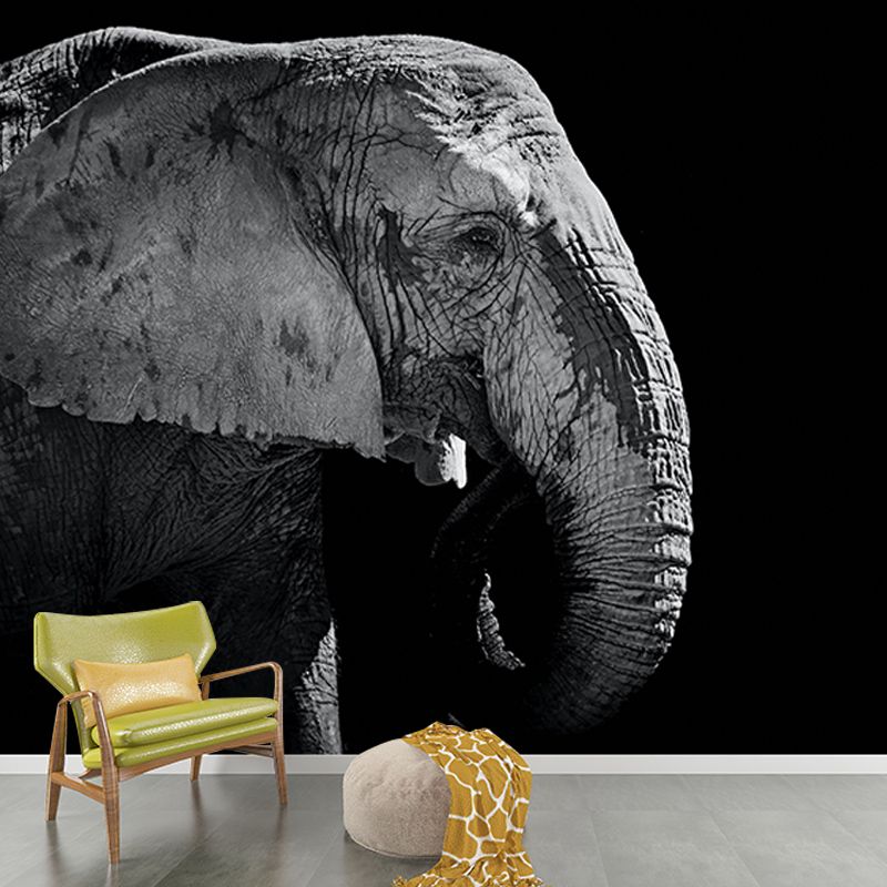 Contemporary Style Wild Animal Mural Horizontal Photography Sitting Room Wall Mural