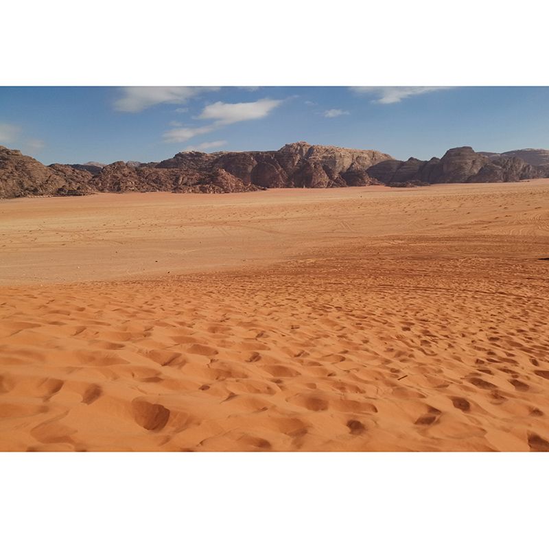 Desolate Desert Wall Murals Moisture Resistant Wall Covering for Living Room