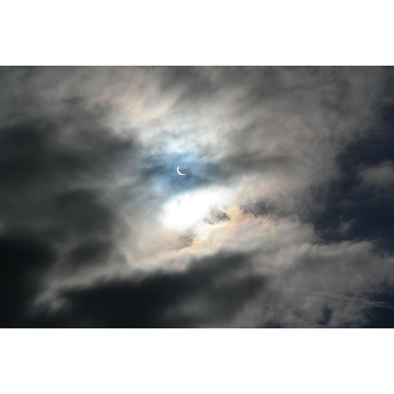 Mildew Resistant Sky Mural Contemporary Sleeping Room Wall Mural