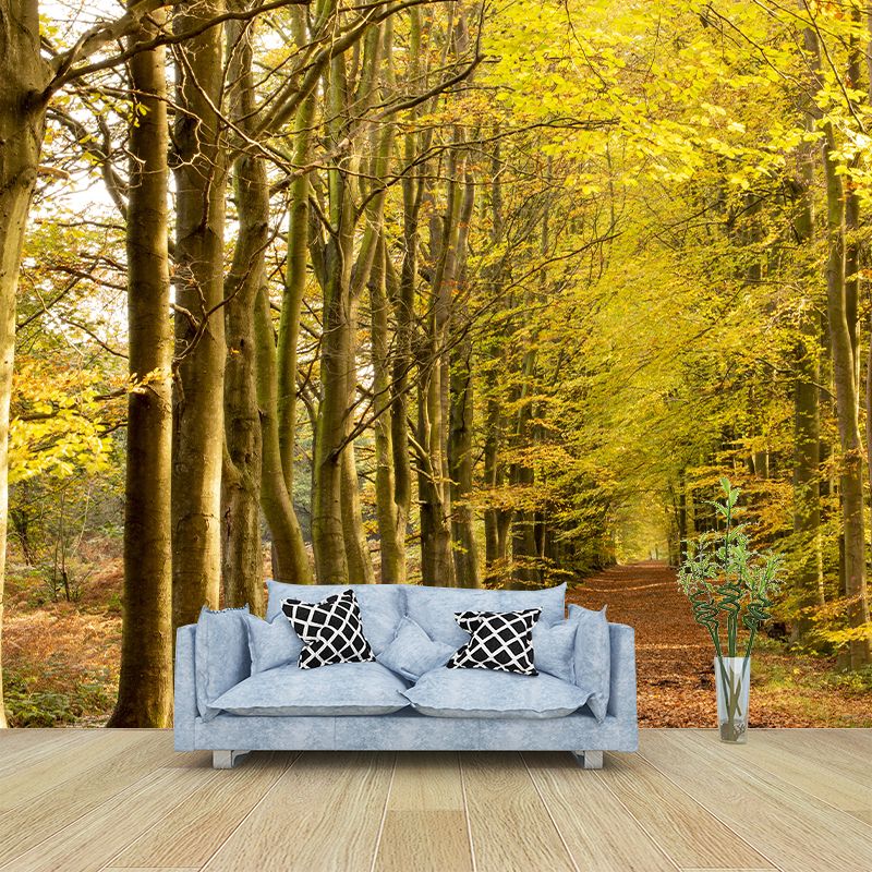 Forest View Mural Decal Water Resistant Decor for Sleeping Room, Personalized Size Available