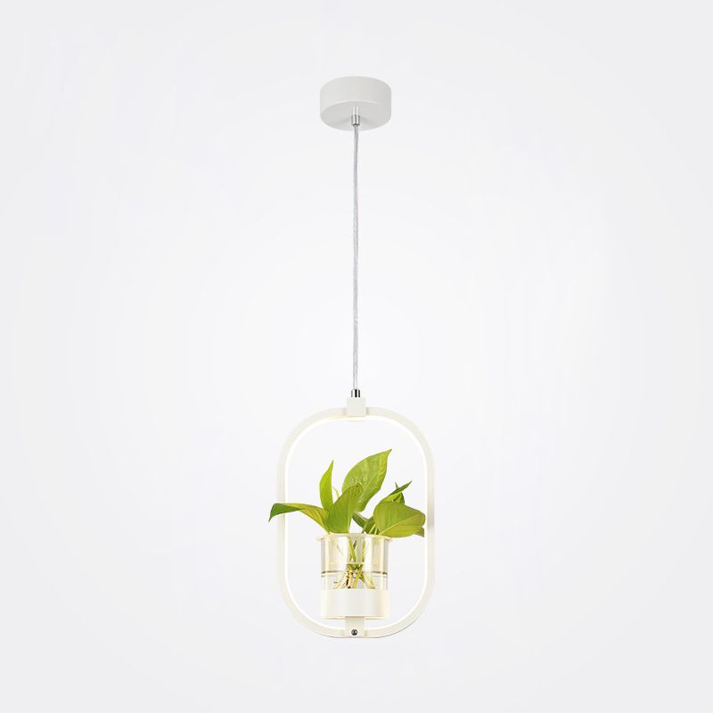 Modern Metal Hanging Lamp 1 Light Pendant Light for Dining Table  (without plants)