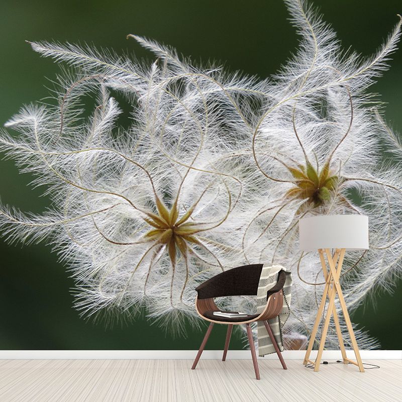 Photography Decorative Wallpaper Feather Stain Resistant Decorative Wall Mural